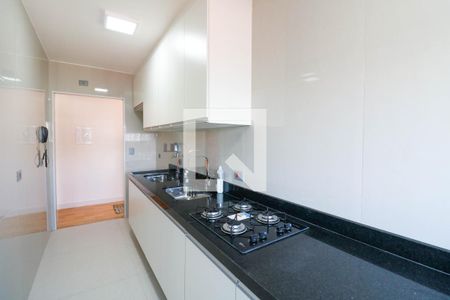 Cozinha de apartamento para alugar com 2 quartos, 65m² em Vila Congonhas, São Paulo