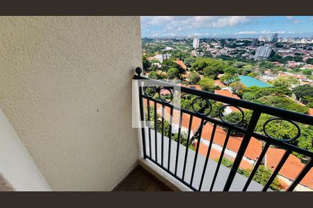 Apartamento à venda com 3 quartos, 75m² em Jardim das Paineiras, Campinas