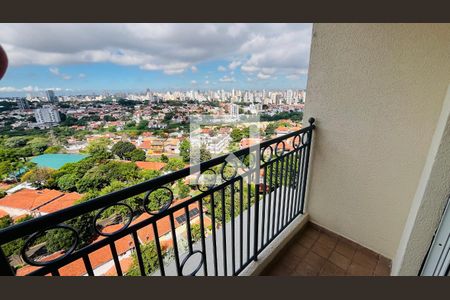Apartamento à venda com 3 quartos, 75m² em Jardim das Paineiras, Campinas