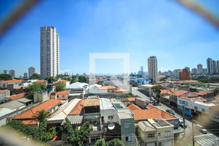 Apartamento à venda com 3 quartos, 80m² em Vila Claudia, São Paulo