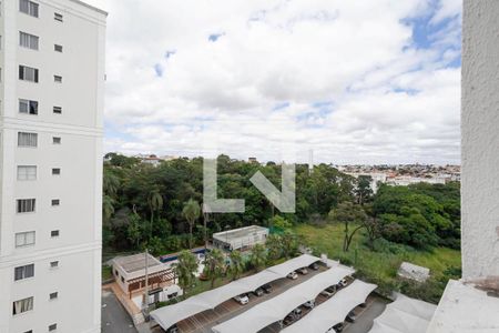 Quarto - Vista de apartamento à venda com 2 quartos, 60m² em Conjunto Helena Antipoff, Belo Horizonte