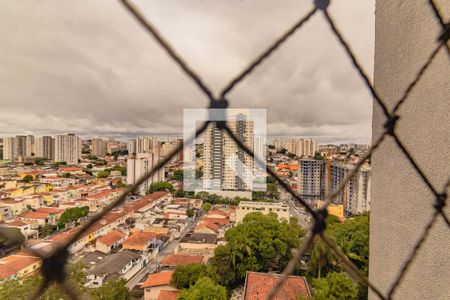 Apartamento para alugar com 2 quartos, 62m² em Vila Santa Catarina, São Paulo