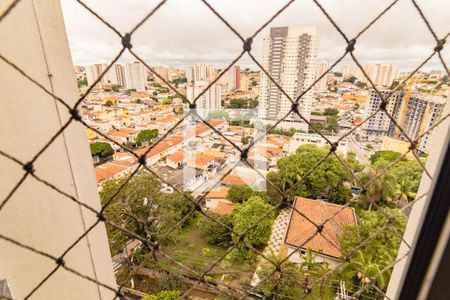 Apartamento para alugar com 2 quartos, 62m² em Vila Santa Catarina, São Paulo