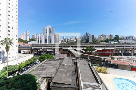 Vista da suíte de apartamento para alugar com 2 quartos, 75m² em Tucuruvi, São Paulo