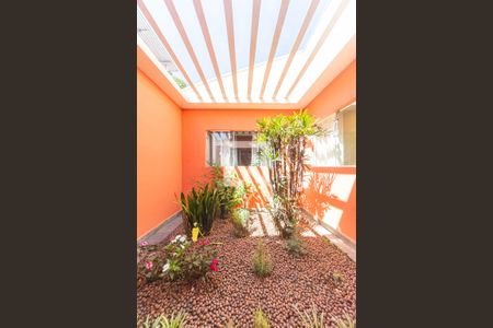 Jardim de Inverno de casa à venda com 6 quartos, 270m² em Vila Alzira, Santo André