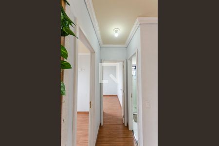 Corredor de apartamento para alugar com 2 quartos, 42m² em Freguesia do Ó, São Paulo