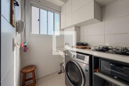 Cozinha e Área de Serviço de apartamento para alugar com 2 quartos, 40m² em Cambuci, São Paulo