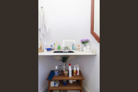 Lavabo de casa para alugar com 4 quartos, 270m² em Jardim Petropolis, São Paulo