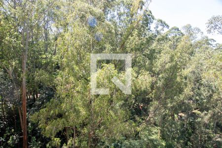 Vista Quarto 1 de apartamento para alugar com 3 quartos, 72m² em Vila Andrade, São Paulo