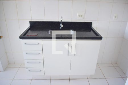 Cozinha - Armários de apartamento para alugar com 2 quartos, 49m² em Campos Elísios, Ribeirão Preto