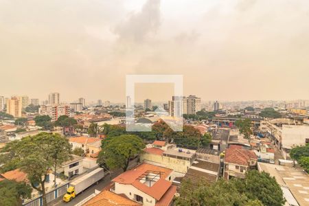 Apartamento à venda com 3 quartos, 104m² em Vila Santa Catarina, São Paulo