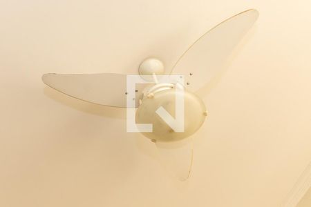 Detalhe sala-Ventilador de casa para alugar com 3 quartos, 220m² em Parque Primavera, Americana