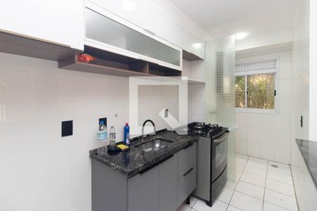 Cozinha e Área de Serviço de apartamento para alugar com 2 quartos, 50m² em Furnas, São Paulo