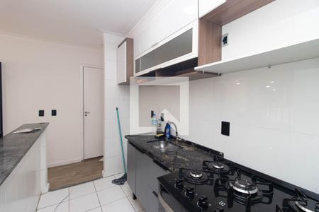 Cozinha e Área de Serviço de apartamento para alugar com 2 quartos, 50m² em Furnas, São Paulo