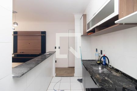 Cozinha e Área de Serviço de apartamento para alugar com 2 quartos, 50m² em Furnas, São Paulo
