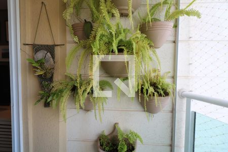 Varanda da Sala de apartamento à venda com 3 quartos, 171m² em Santa Maria, São Caetano do Sul