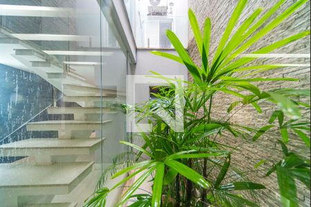 Jardim de inverno de casa à venda com 3 quartos, 226m² em Parque Sao Vicente, Santo André