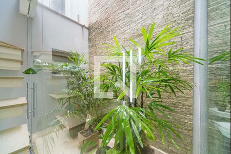 Jardim de inverno de casa à venda com 3 quartos, 226m² em Parque Sao Vicente, Santo André