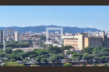 Vista de apartamento à venda com 2 quartos, 42m² em Parque Industrial Tomas Edson, São Paulo