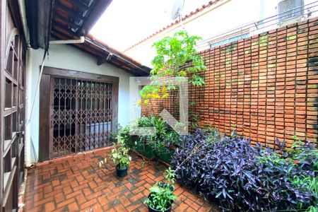 Jardim de Inverno de casa à venda com 3 quartos, 310m² em Santo Antônio, Belo Horizonte