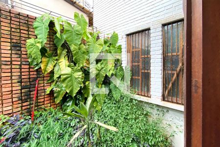 Jardim de Inverno de casa à venda com 3 quartos, 310m² em Santo Antônio, Belo Horizonte