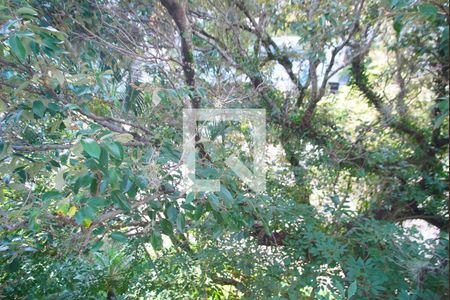 Sala - Vista de apartamento para alugar com 2 quartos, 74m² em Mont’serrat, Porto Alegre