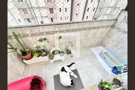 Varanda da Sala de apartamento à venda com 2 quartos, 49m² em Vila Santa Maria, São Paulo
