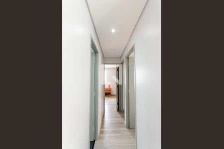 Corredor de apartamento para alugar com 3 quartos, 64m² em Jardim Iris, São Paulo