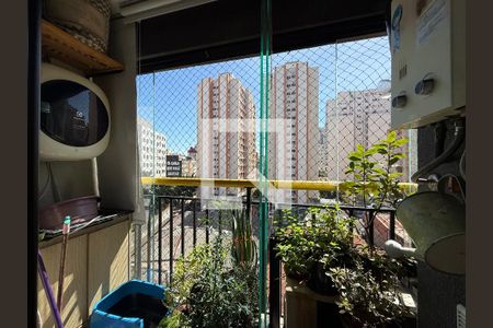 Kitnet/Studio para alugar com 1 quarto, 35m² em Campos Elíseos, São Paulo