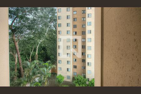 Vista da Sala de apartamento à venda com 2 quartos, 48m² em Vila Emir, São Paulo