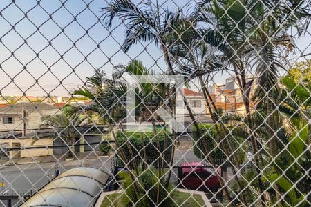 Apartamento à venda com 2 quartos, 76m² em Vila Monte Alegre, São Paulo