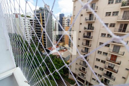 VISTA DA SACADA de apartamento para alugar com 3 quartos, 165m² em Cambuí, Campinas