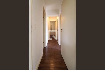 Corredor  de apartamento para alugar com 3 quartos, 77m² em Jardim Ampliacao, São Paulo