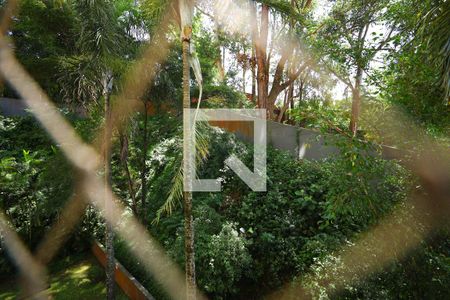 Vista da Sala de apartamento para alugar com 3 quartos, 77m² em Jardim Ampliacao, São Paulo