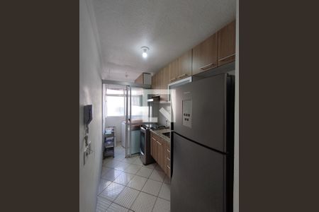 Cozinha - Armários de apartamento para alugar com 2 quartos, 48m² em Jardim Santa Emilia, São Paulo