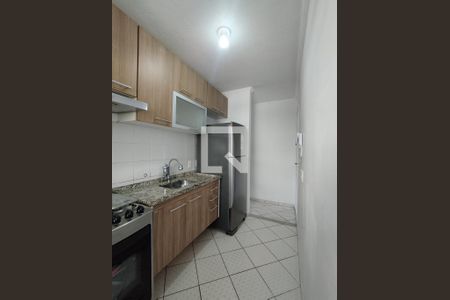 Cozinha - Armários de apartamento para alugar com 2 quartos, 48m² em Jardim Santa Emilia, São Paulo