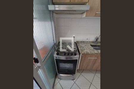 Cozinha - Armários de apartamento para alugar com 2 quartos, 48m² em Jardim Santa Emilia, São Paulo