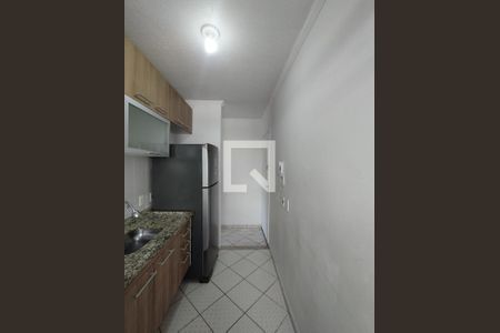 Cozinha - Armários de apartamento para alugar com 2 quartos, 48m² em Jardim Santa Emilia, São Paulo