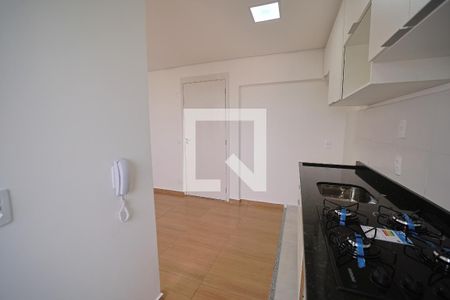 Cozinha de apartamento para alugar com 2 quartos, 38m² em Vila Campanela, São Paulo
