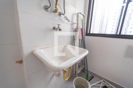 Área de Serviço de apartamento para alugar com 2 quartos, 38m² em Vila Campanela, São Paulo