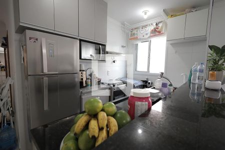 Cozinha de apartamento para alugar com 2 quartos, 43m² em Vila Guiomar, Santo André