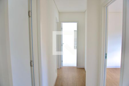 Corredor de apartamento para alugar com 4 quartos, 139m² em São Bento, Belo Horizonte