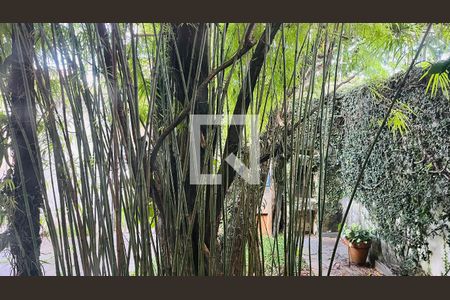 Casa à venda com 4 quartos, 263m² em Jardim Sao Carlos, Campinas