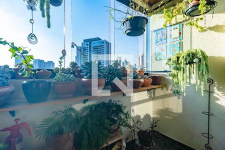 Apartamento à venda com 2 quartos, 55m² em Vila Santa Catarina, São Paulo
