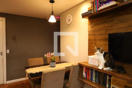 Sala de apartamento à venda com 2 quartos, 47m² em Colônia (zona Leste), São Paulo