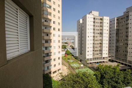 Vista da Varanda da Sala de apartamento para alugar com 2 quartos, 58m² em Vila Floresta, Santo André
