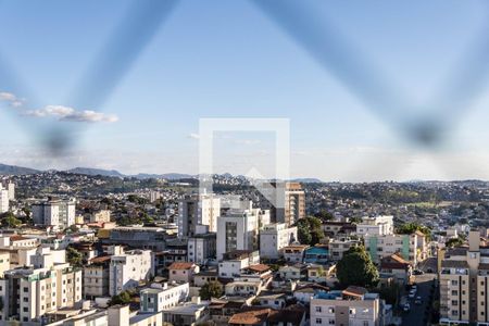 Vista da Suíte de apartamento à venda com 3 quartos, 88m² em Nova Suíça, Belo Horizonte