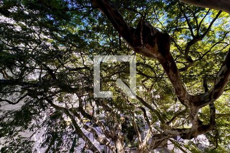 Apartamento à venda com 3 quartos, 100m² em Botafogo, Rio de Janeiro