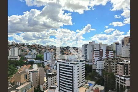 Apartamento à venda com 5 quartos, 348m² em Buritis, Belo Horizonte
