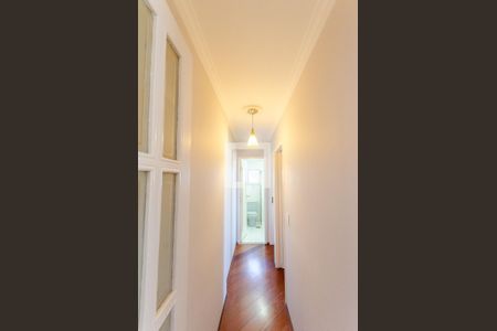 Corredor de apartamento para alugar com 2 quartos, 57m² em Vila Pirituba, São Paulo